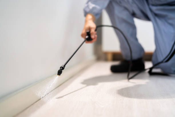 Certified termite inspector examining foundation in Camarillo